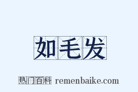 如毛发是什么意思的图片